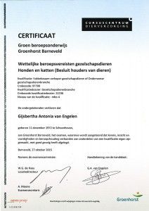 Diploma Bertha Van Engelen
